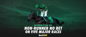 Bet365CheltenhamFestival.jpg