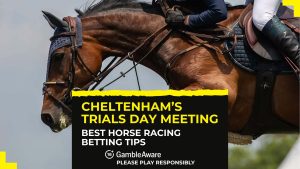 horse-racing-tips-cheltenhams-trials-day-meeting-jan-25-op.jpg